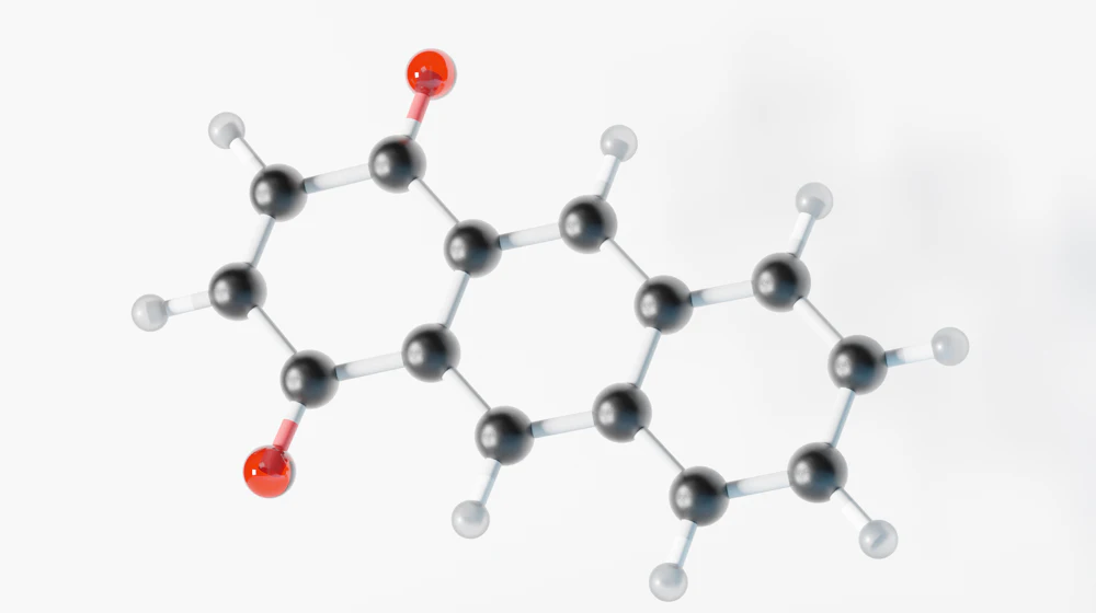 Model showing contaminant fragments alongside a target sequence