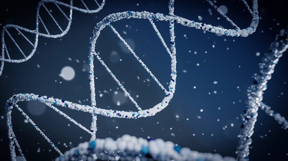 Rendering of a molecular helix representing receptor signaling