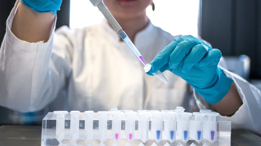Scientist using a pipette with test tubes during purity testing