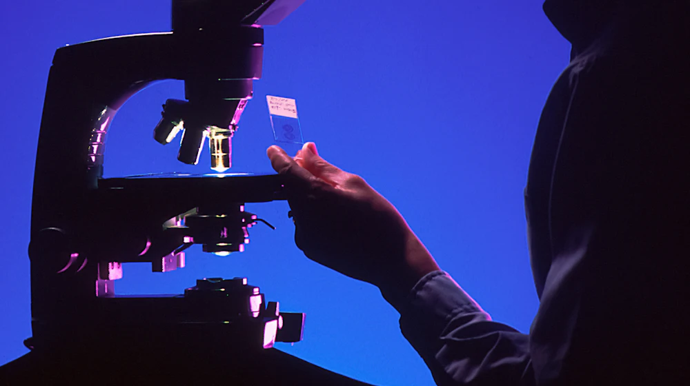 Researcher studying mitochondrial samples in a laboratory