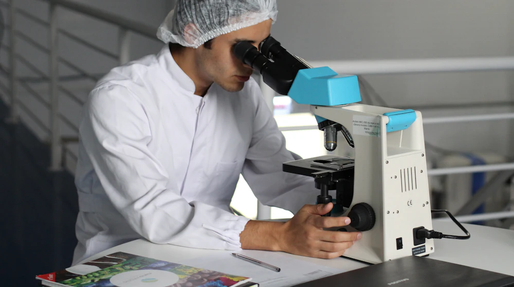 Researcher examining hormone samples through a microscope