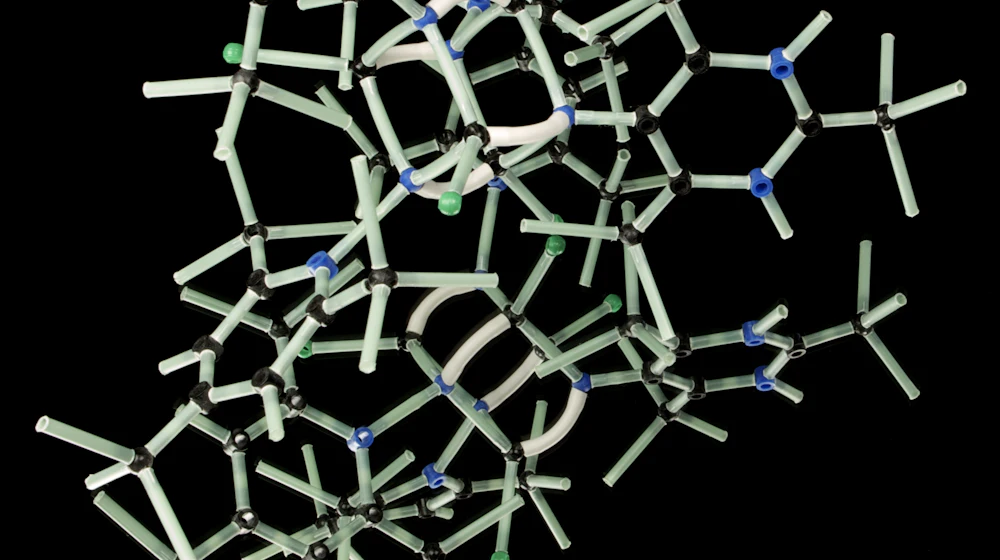 Molecular model of a receptor binding site