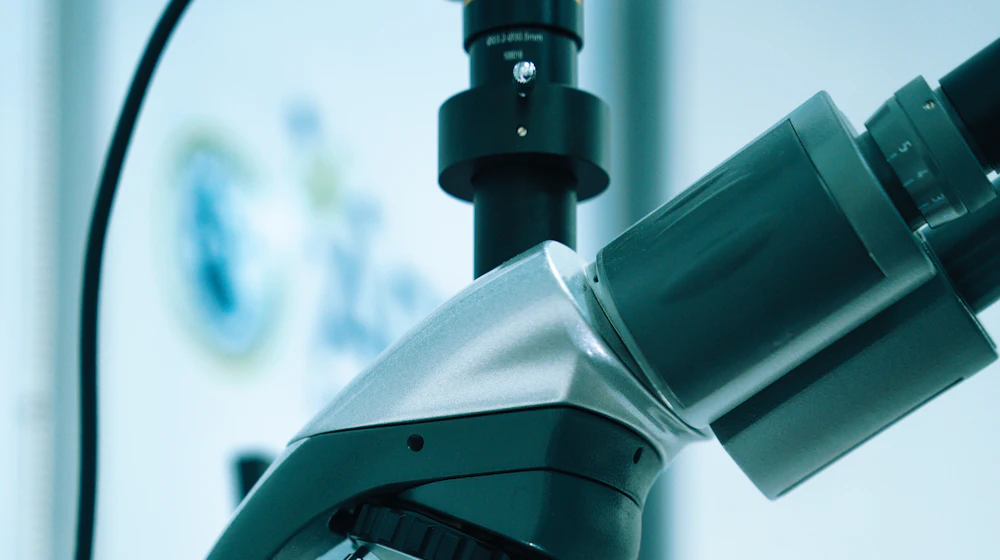 Researcher examining tissue samples under a microscope